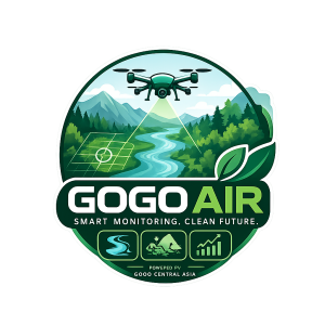 GOGO AIR